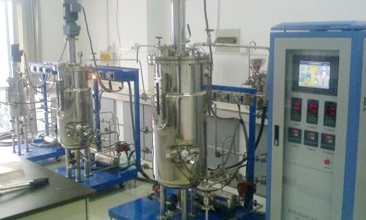 全自動(dòng)發(fā)酵罐