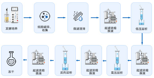 生物發(fā)酵下游工藝 生物發(fā)酵下游工藝